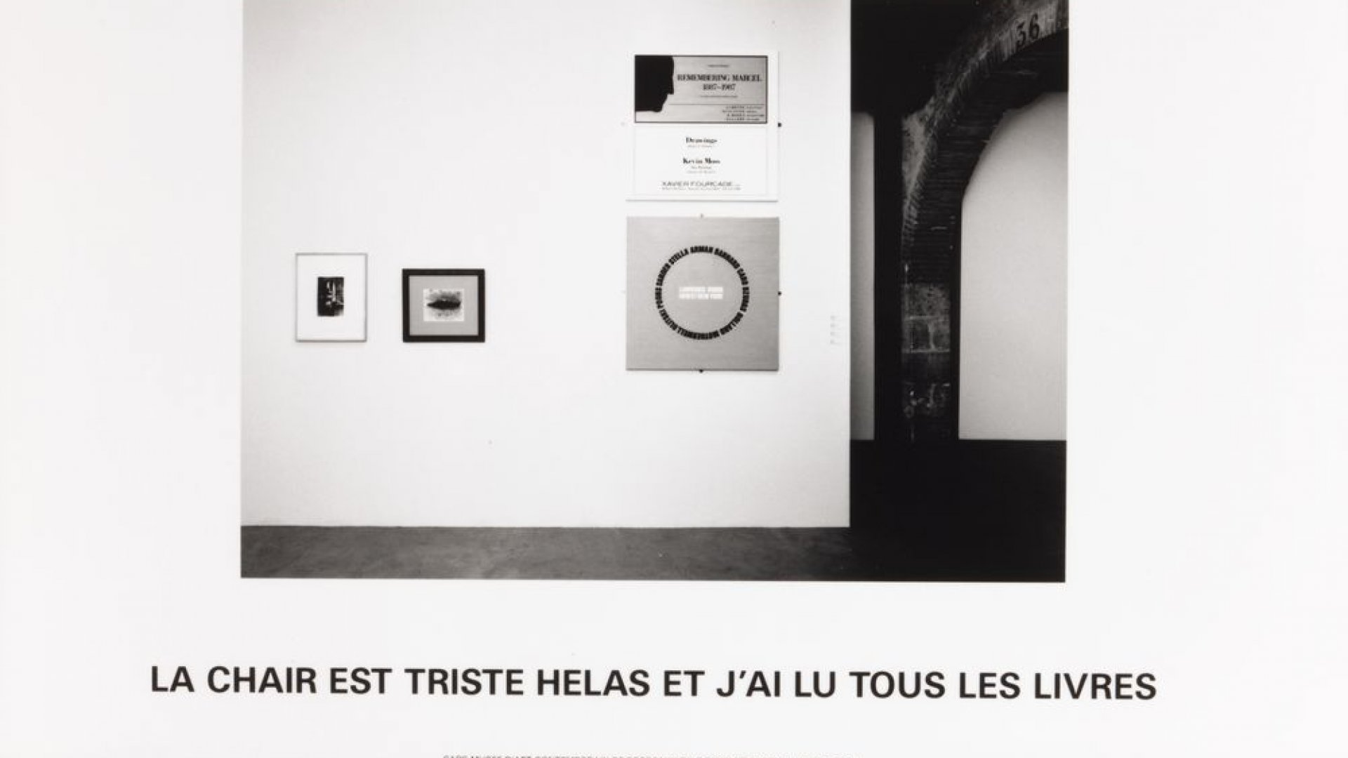 agoras mangeant de la chair humaine