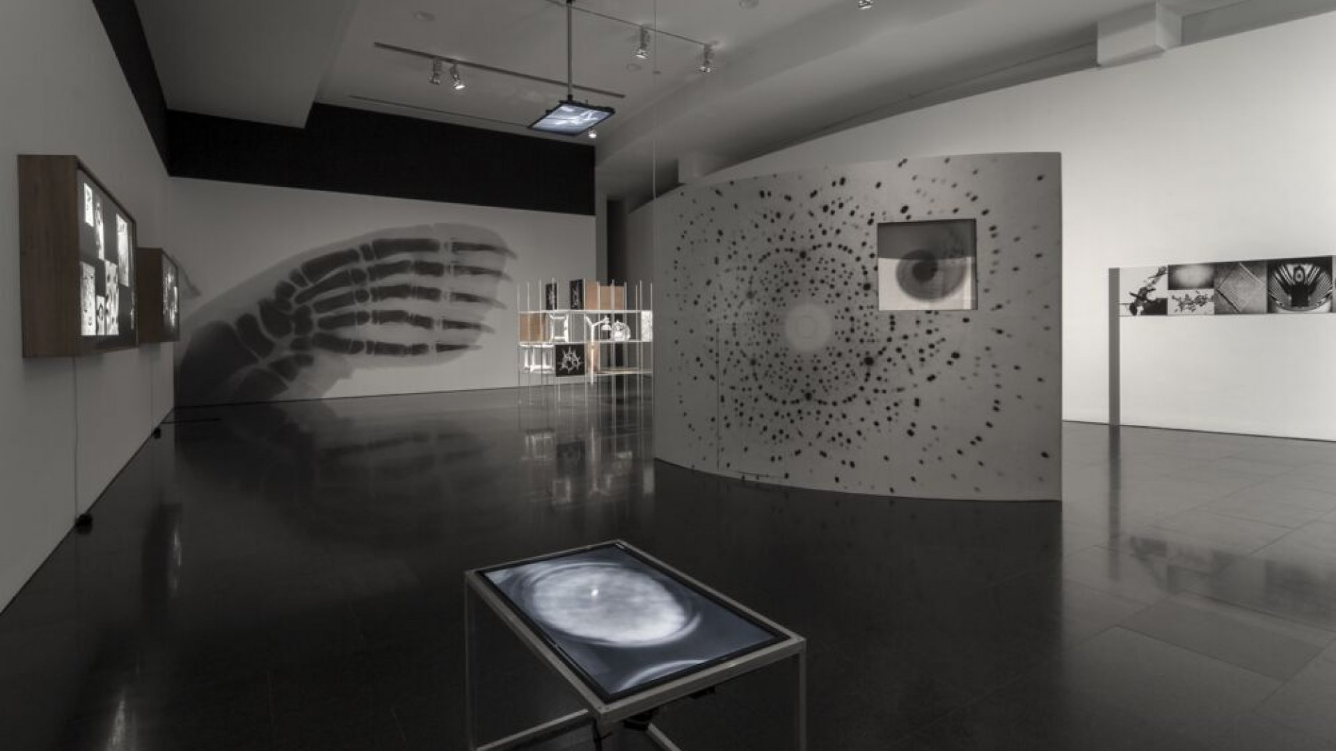 Growth and Form, 1951 (2014) - Hamilton, Richard (5245) | MACBA Museum of  Contemporary Art of Barcelona