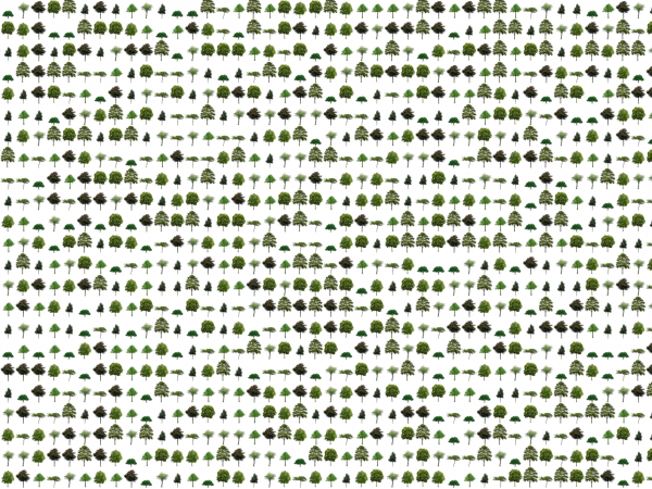 Joana Moll "DEFOOOOOOOOOOOOOOOOOOOOOREST", 2016