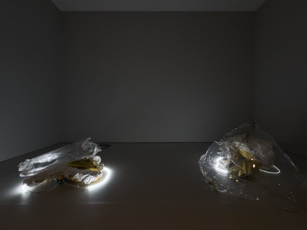 “Non-Slave Tenderness”, 2018. Foto: Miquel Coll