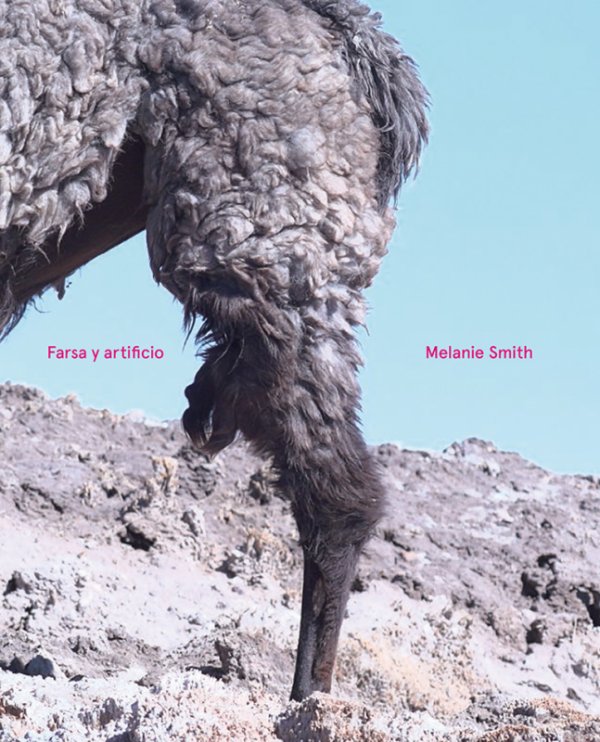 Melanie Smith. Farce and Artifice