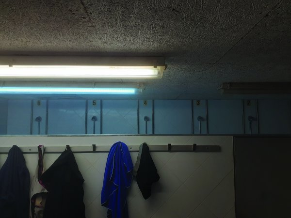 De disturbios, lutos y fiestas