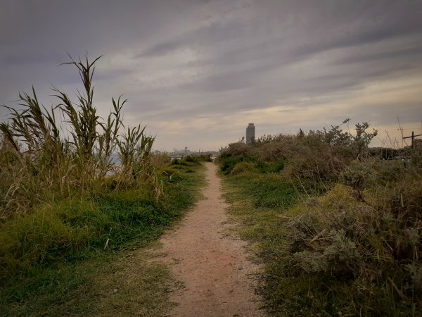 Semillas del cruising