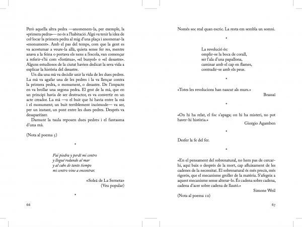 Apunts per a un incendi dels ulls (Notes for an Eye Fire), 2021