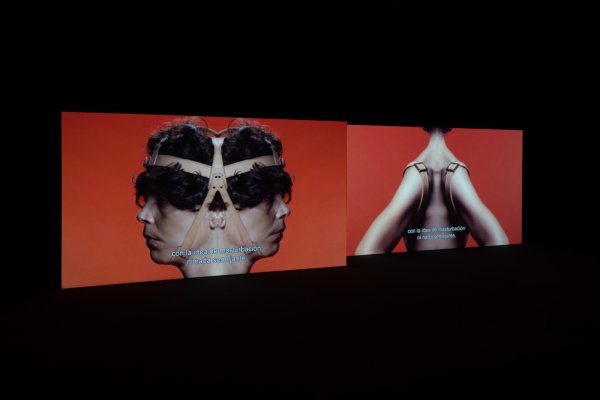 Schreber is a woman (Schreber es una mujer), 2020