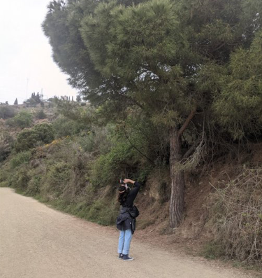 Actividad Condiciones de trabajo #2. Foto de Laia Estruch mirando un árbol.