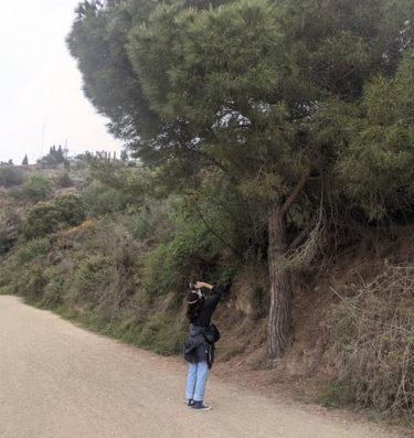 Actividad Condiciones de trabajo #2. Foto de Laia Estruch mirando un árbol. 