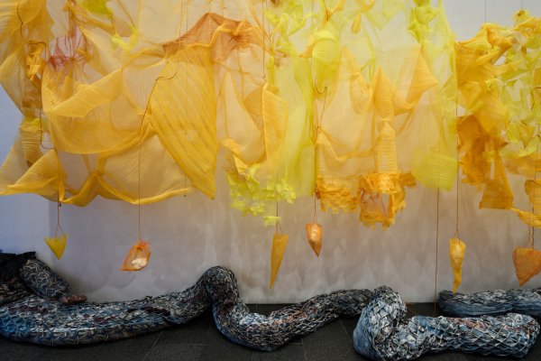 Visites comentades a Laura Lima. Balé Literal