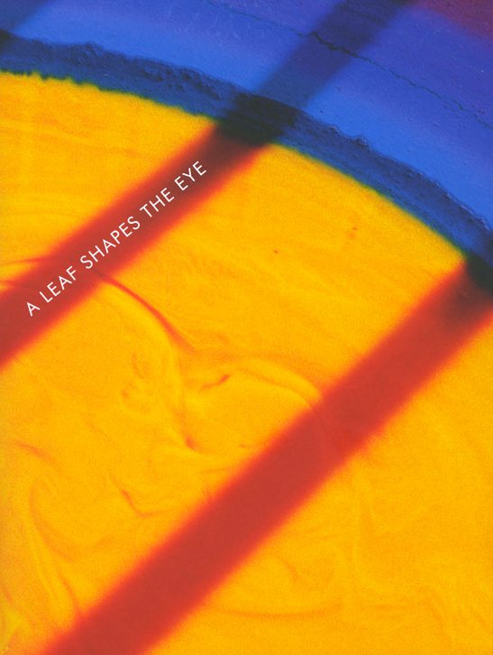 Daniel Steegmann Mangrané. A Leaf Shapes the Eye