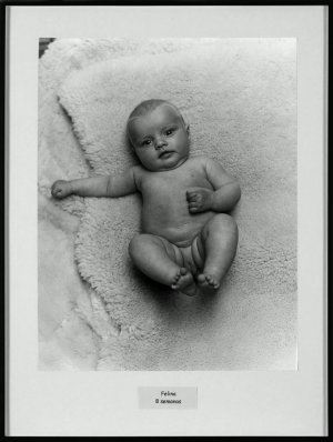 La vida segons Hans-Peter Feldmann
