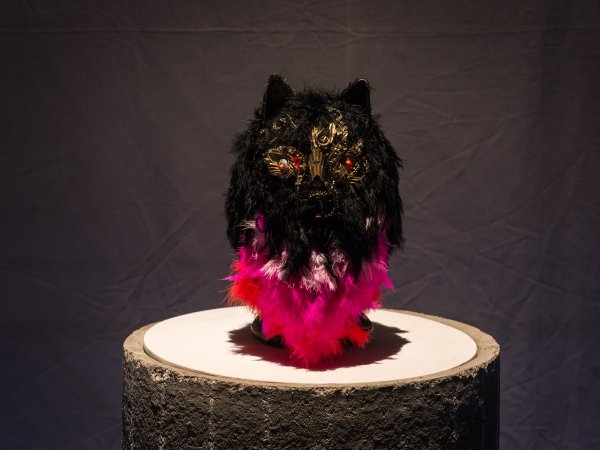 El misterio de Caviria, Antoni Hervàs
Antoni Hervàs, El misterio de Caviria, 2016. Foto: Pep Herrero.