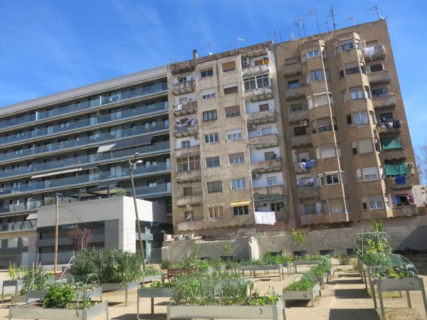 Imatge decorativa