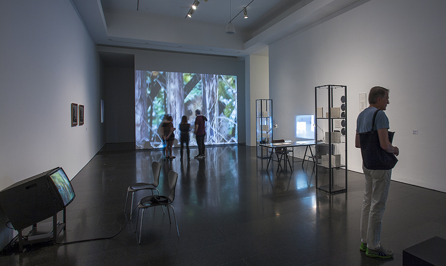 Vistas de la exposición 