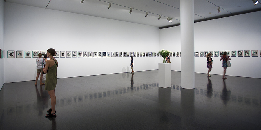 Vistas de la exposición 