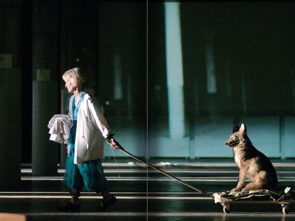 Joan Jonas. Timelines: Transparencies in a Dark Room