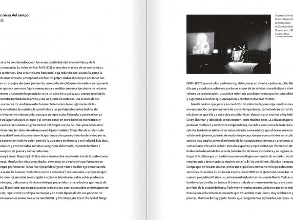 Joan Jonas. Timelines: Transparencies in a Dark Room