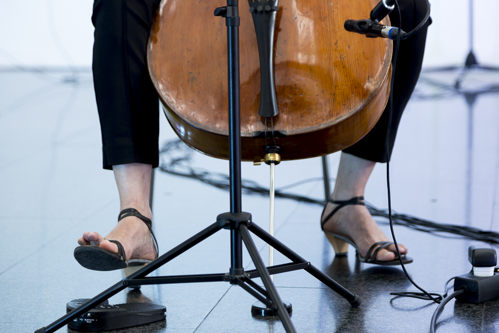 Continuum. Erica Wise Foto: Eva Carasol, 2015