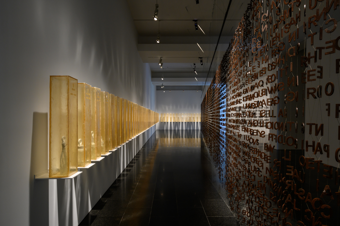 Vistes de l'exposició 