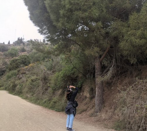 Activitat Condicions de treball #2. Laia Estruch mirant un arbre.