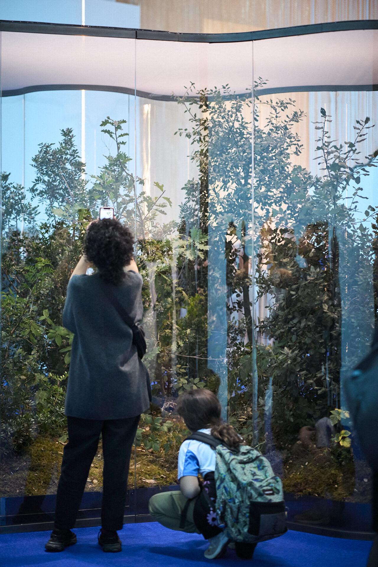 Visitantes mirando y fotografiando una obra del artista Daniel Steegmann en las salas de exposición