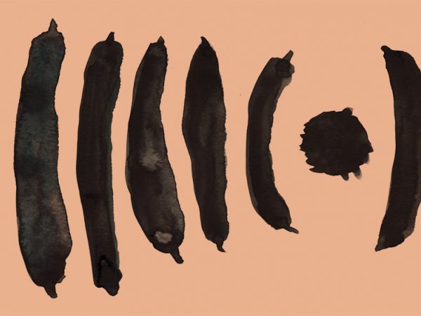 Imatge decorativa