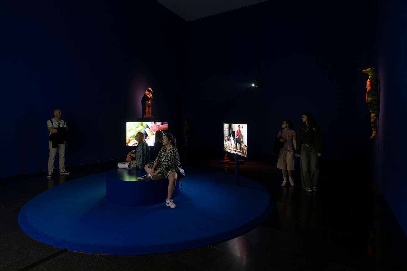 Vistes de l'exposició 