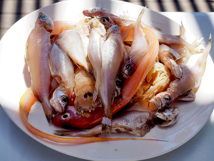 Foto: Vendela Vrensk