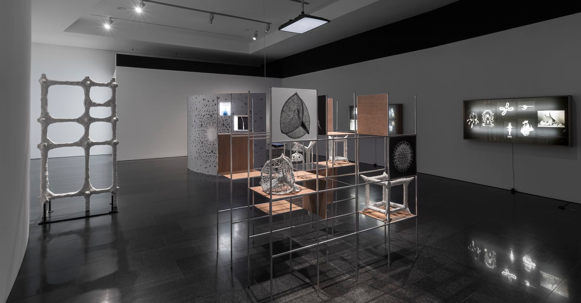 Richard Hamilton, Growth and Form, 1951 (2014). Col·lecció MACBA. Fundació MACBA. Donació Rita Hamilton. Instal·lació reconstruïda el 2014 pel Museo Nacional Centro de Arte Reina Sofía, Madrid, i Tate Modern, Londres, amb motiu de l'exposició “Richard Hamilton”. © Richard Hamilton, VEGAP, Barcelona. foto: Vargas, Rafael