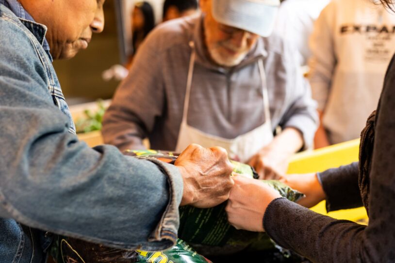 Imatge de la plantada de primavera i estiu al Jardí Ambulant