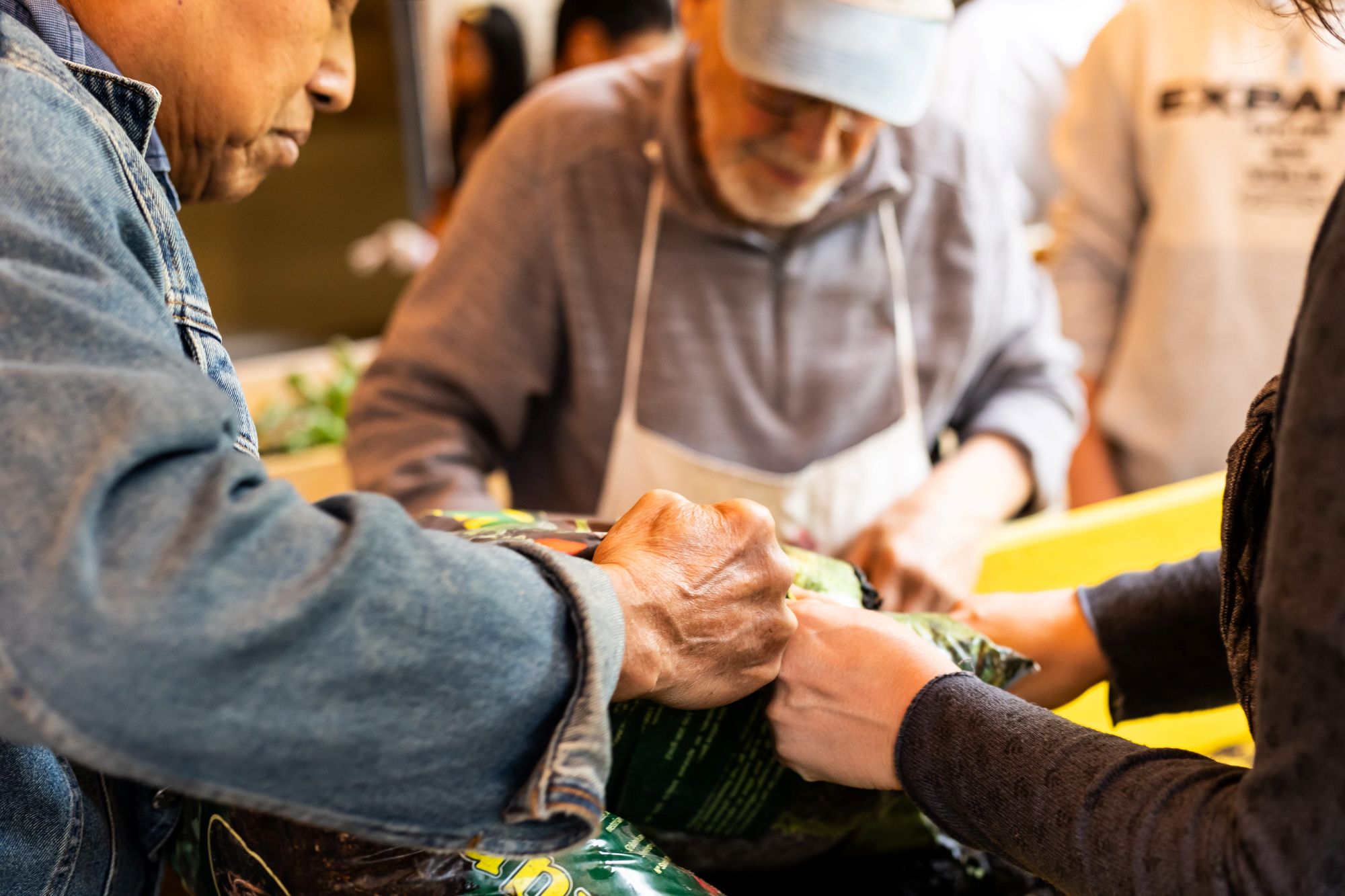 Images from the Second Spring/Summer Planting Session at The Mobile Garden