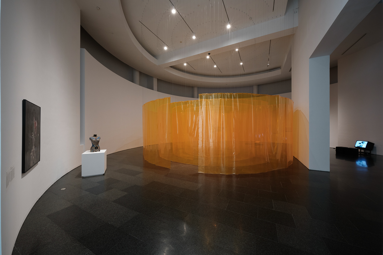 Vistes de l'exposició "Com una dansa d’estornells. Col·lecció MACBA: trenta anys i infinites formes de ser", 2025. Foto: Miquel Coll