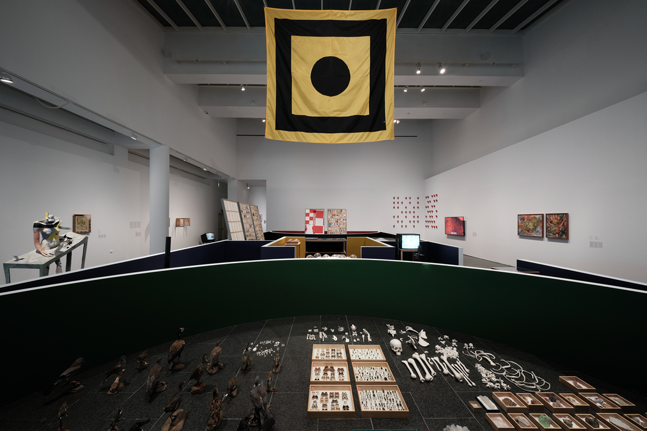 Vistes de l'exposició 