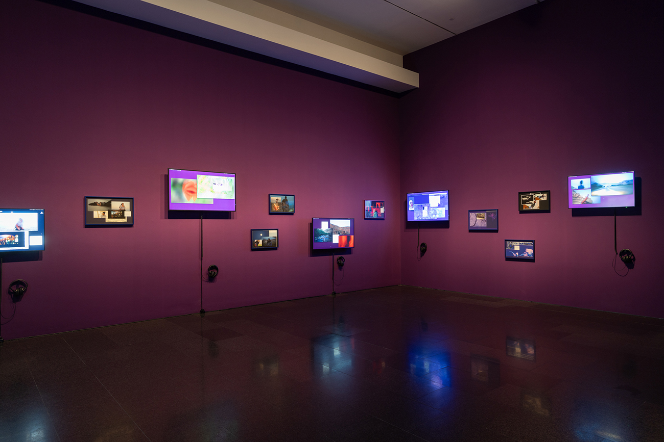 Vistes de l'exposició 