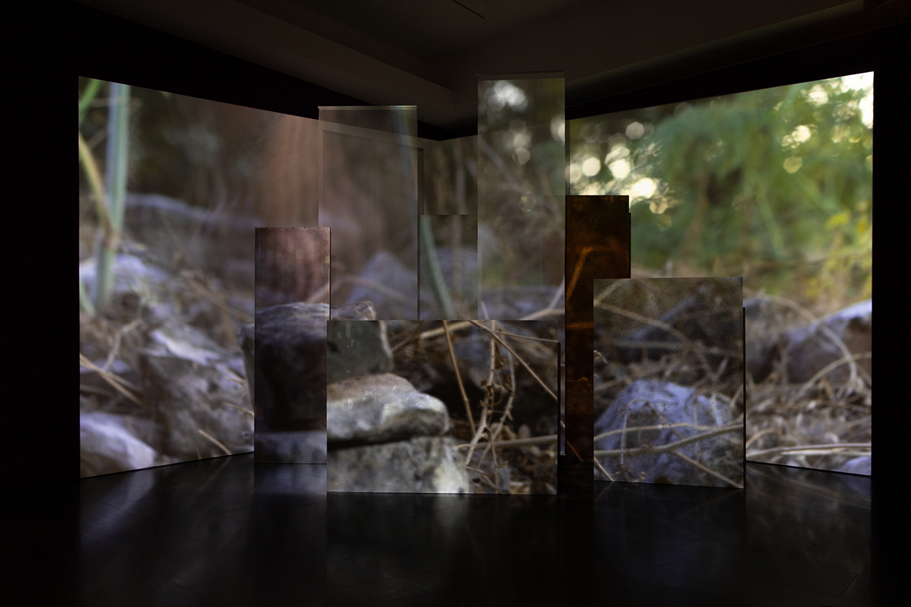 Vistas de la exposición "Basel Abbas y Ruanne Abou-Rahme. Prisioneros del amor. Hasta el sol de la libertad", 2026. Foto: MicoStudio