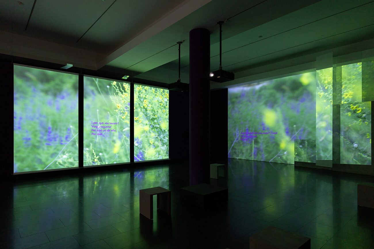 Vistas de la exposición "Basel Abbas y Ruanne Abou-Rahme. Prisioneros del amor. Hasta el sol de la libertad", 2026. Foto: MicoStudio