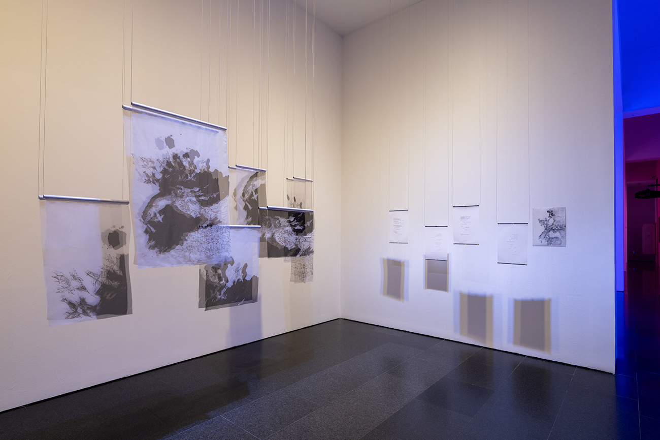 Vistes de l'exposició 