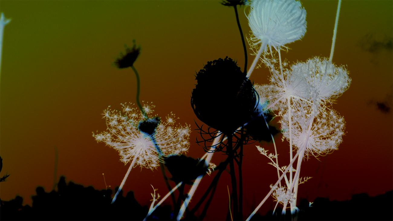 Basel Abbas y Ruanne Abou-Rahme, captura de 