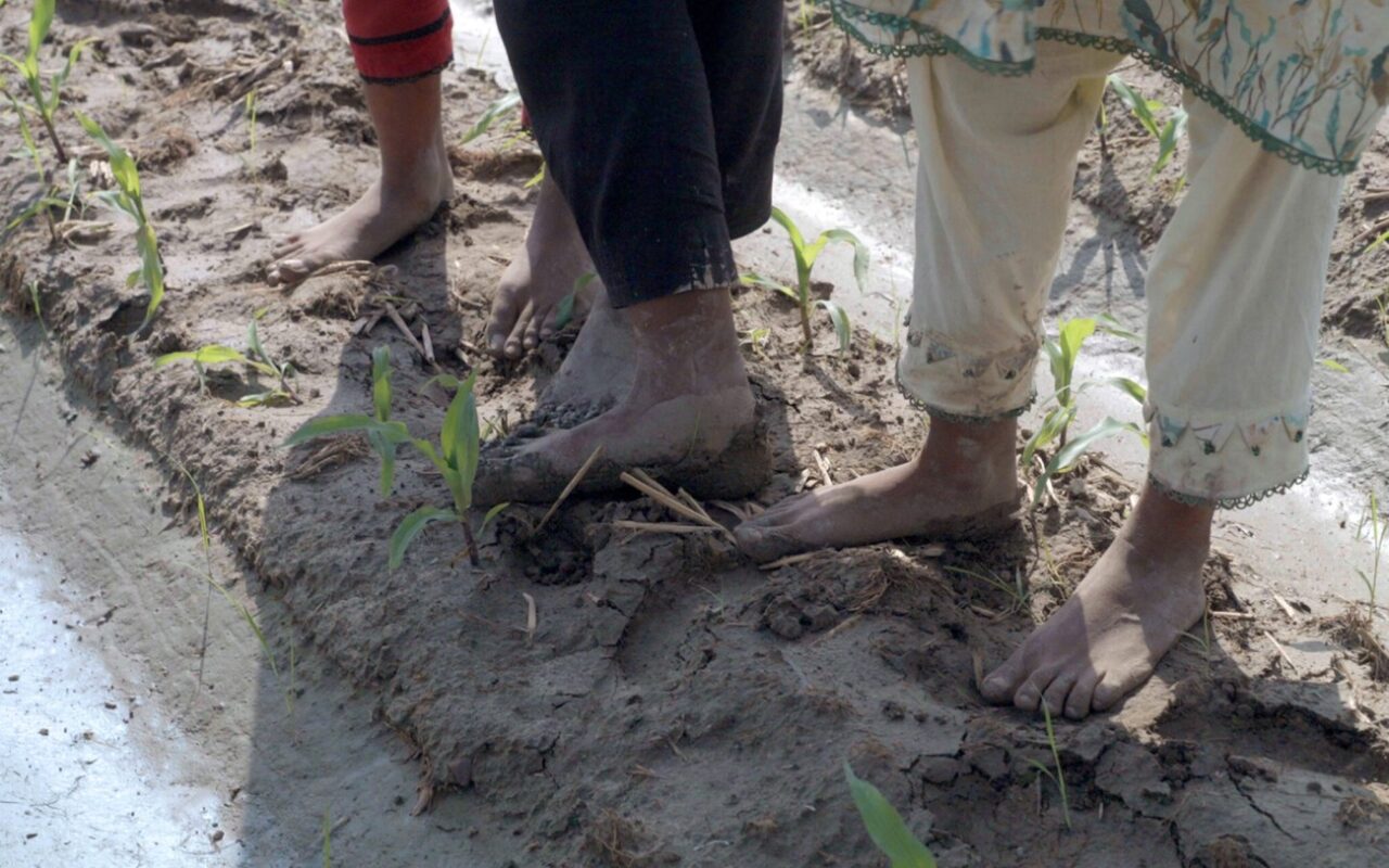 1_feet-in-mud_instagram-1-2048x1280 (1)