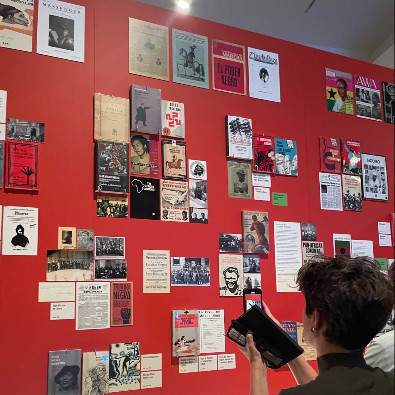 Orogenia panafricana. Foto: Miquel Coll.