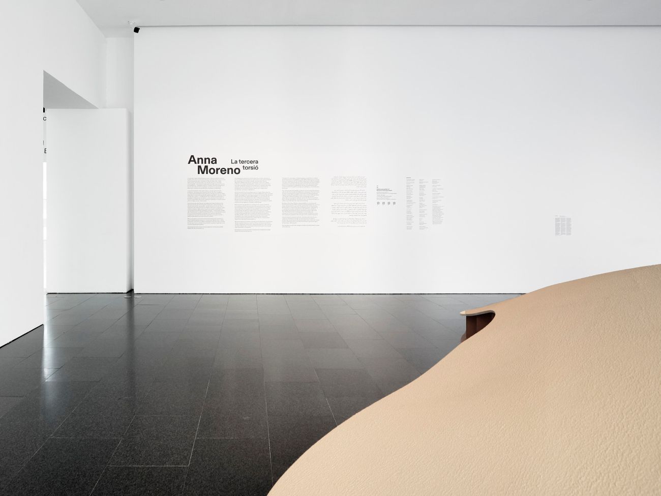 Duna artificial concebuda per a l'exposició, que convida el públic a asseure's i contemplar el documental de l'artista. Al fons, es presenta el text curatorial que introdueix i contextualitza la mostra.