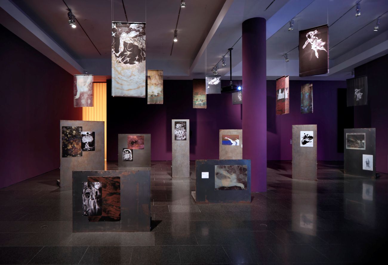 Espai expositiu on es presenta la peça Screenshots, composta per fotografies i textos disposats en petites mampares arran de terra i en pendons suspesos des del sostre.